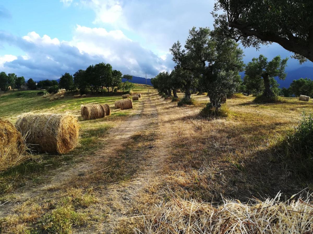 La Dimora Di Radha B&B Centro Olistico Rende Exteriér fotografie