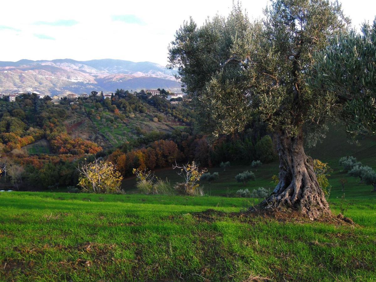 La Dimora Di Radha B&B Centro Olistico Rende Exteriér fotografie