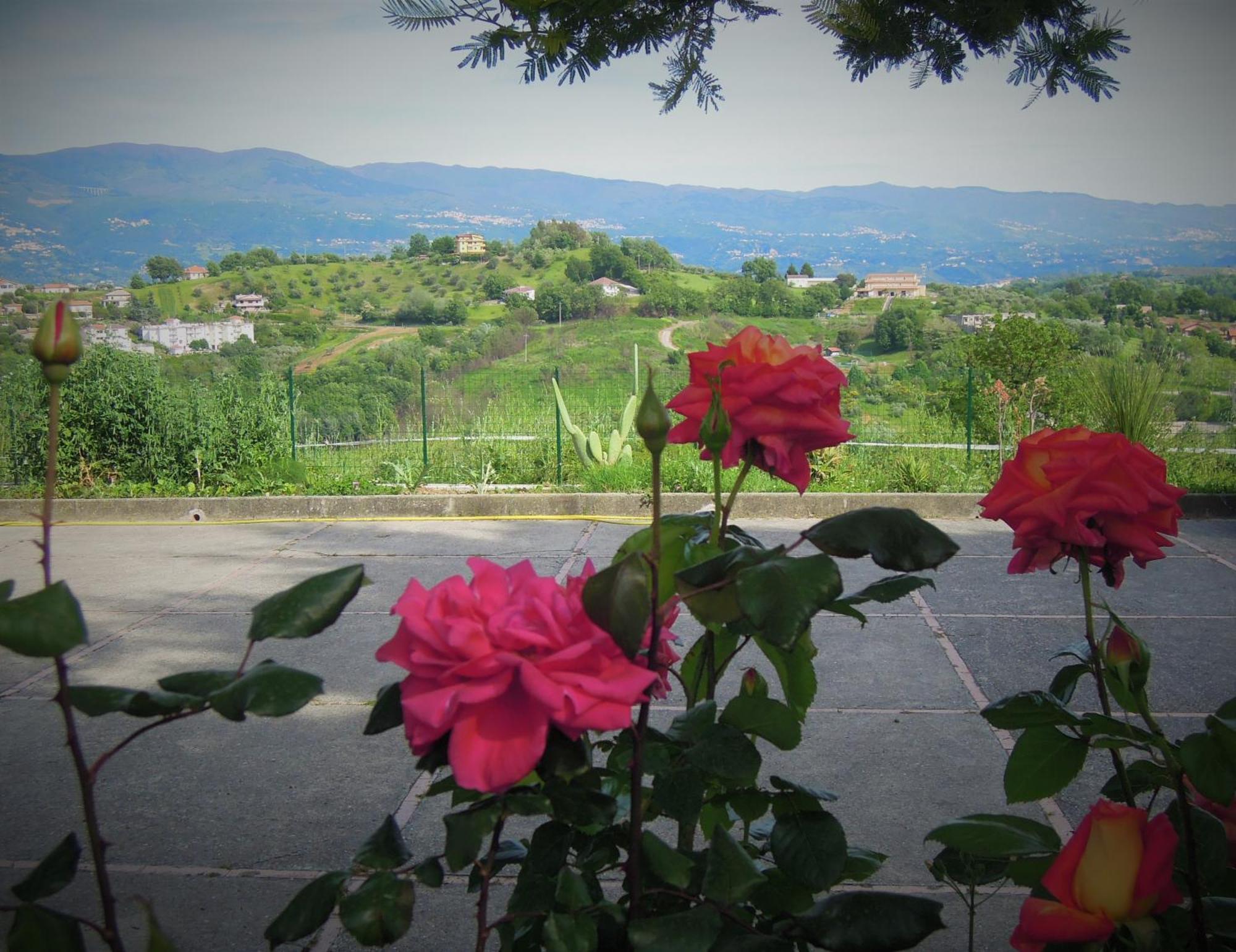 La Dimora Di Radha B&B Centro Olistico Rende Exteriér fotografie